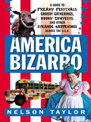 cover image of America Bizarro